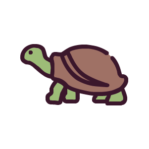 Schildkröte
