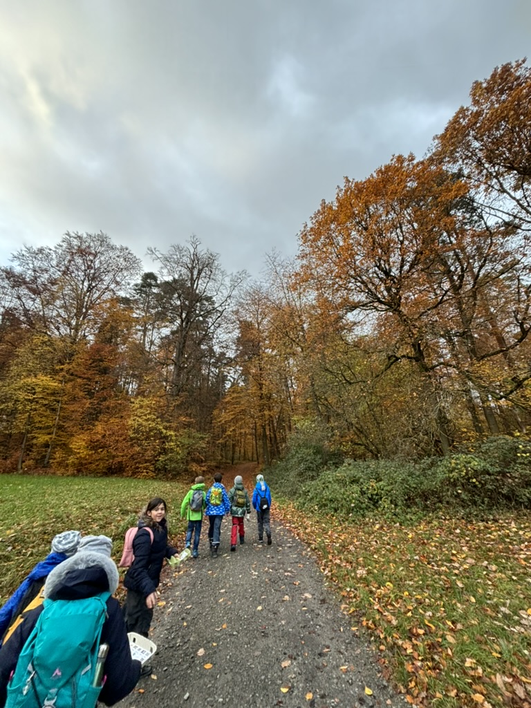 Kornbergschule Enzweihingen Grundschule Vaihingen an der Enz